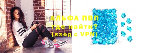 соль ск Новозыбков