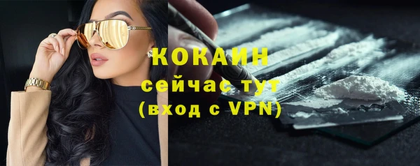 соль ск Новозыбков