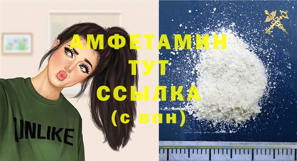 соль ск Новозыбков