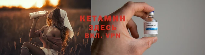 соль ск Новозыбков