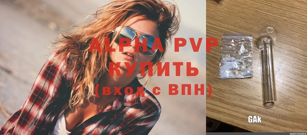 соль ск Новозыбков