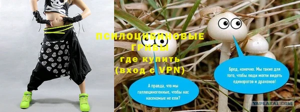 соль ск Новозыбков