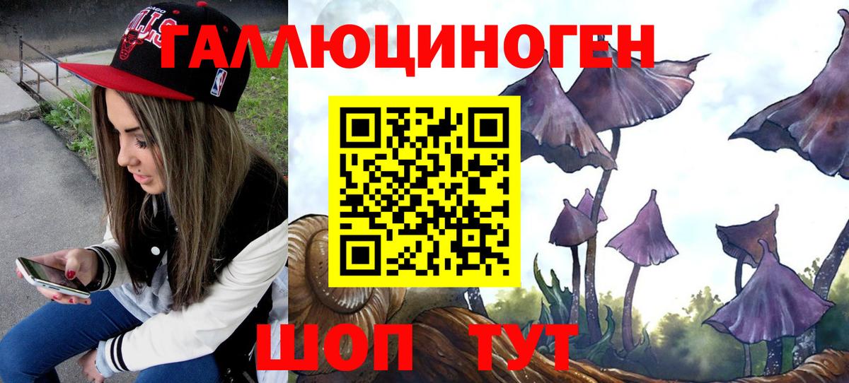 Псилоцибиновые грибы прущие грибы Сургут