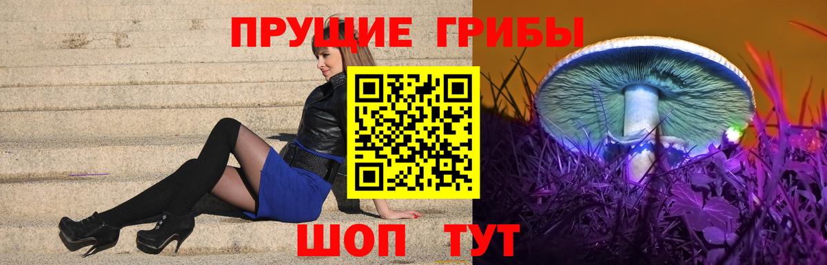 Псилоцибиновые грибы Psilocybine cubensis Сургут