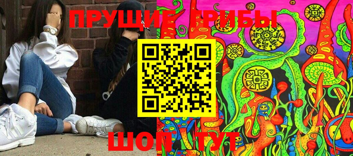 Псилоцибиновые грибы ЛСД  Псилоцибиновые грибы мицелий  Сургут  Вход с VPN 