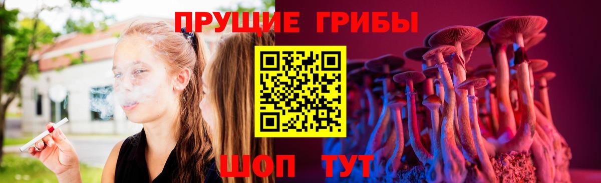 Псилоцибиновые грибы Cubensis  Галлюциногенные грибы Psilocybe  Сургут 