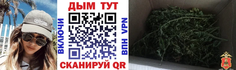 ОМГ ОМГ вход  Сургут  Бошки Шишки SATIVA & INDICA 